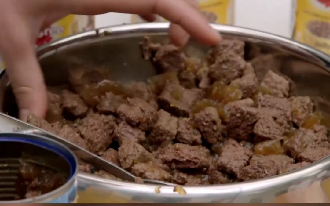 英媒：部分英国人被迫吃宠物食品