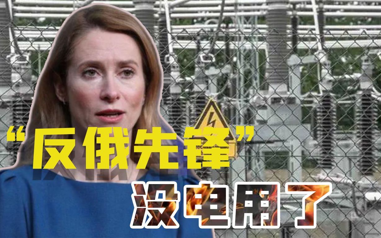 反俄最积极，回头一看没电用了，爱沙尼亚总理一句话发电机卖脱销