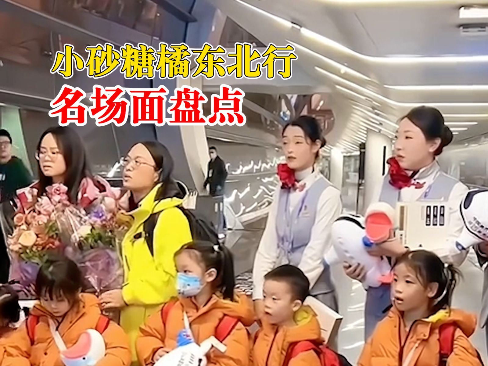 小砂糖橘东北游学全过程
