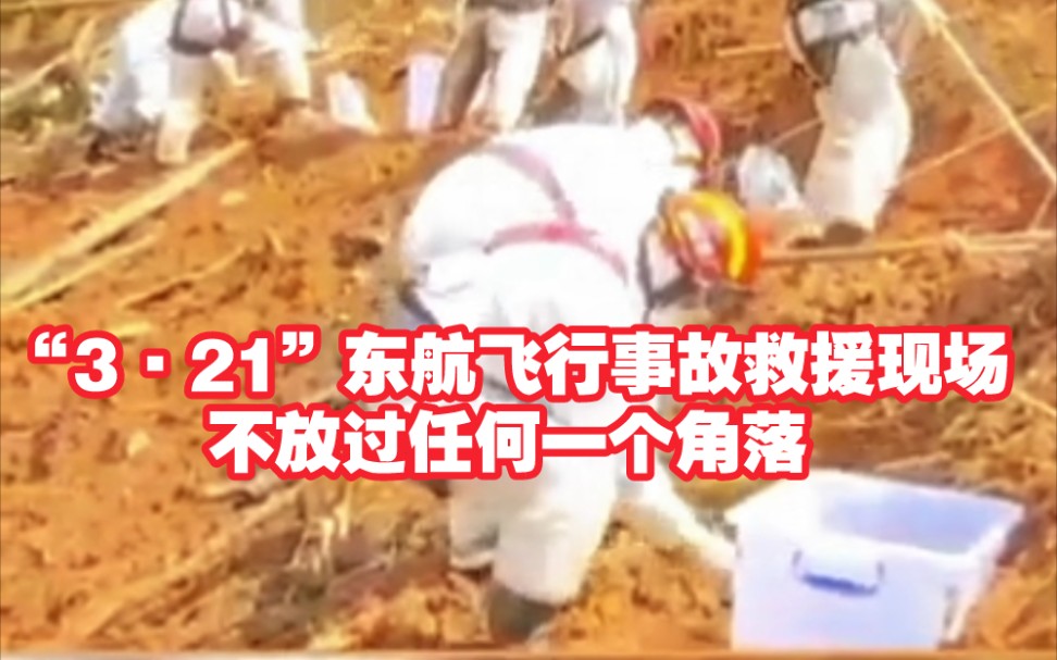 “3·21”东航飞行事故救援现场，一棵树一根绳系着一个消防救援人员，在陡坡上一寸寸地仔细搜寻，不放过任何一个角落。