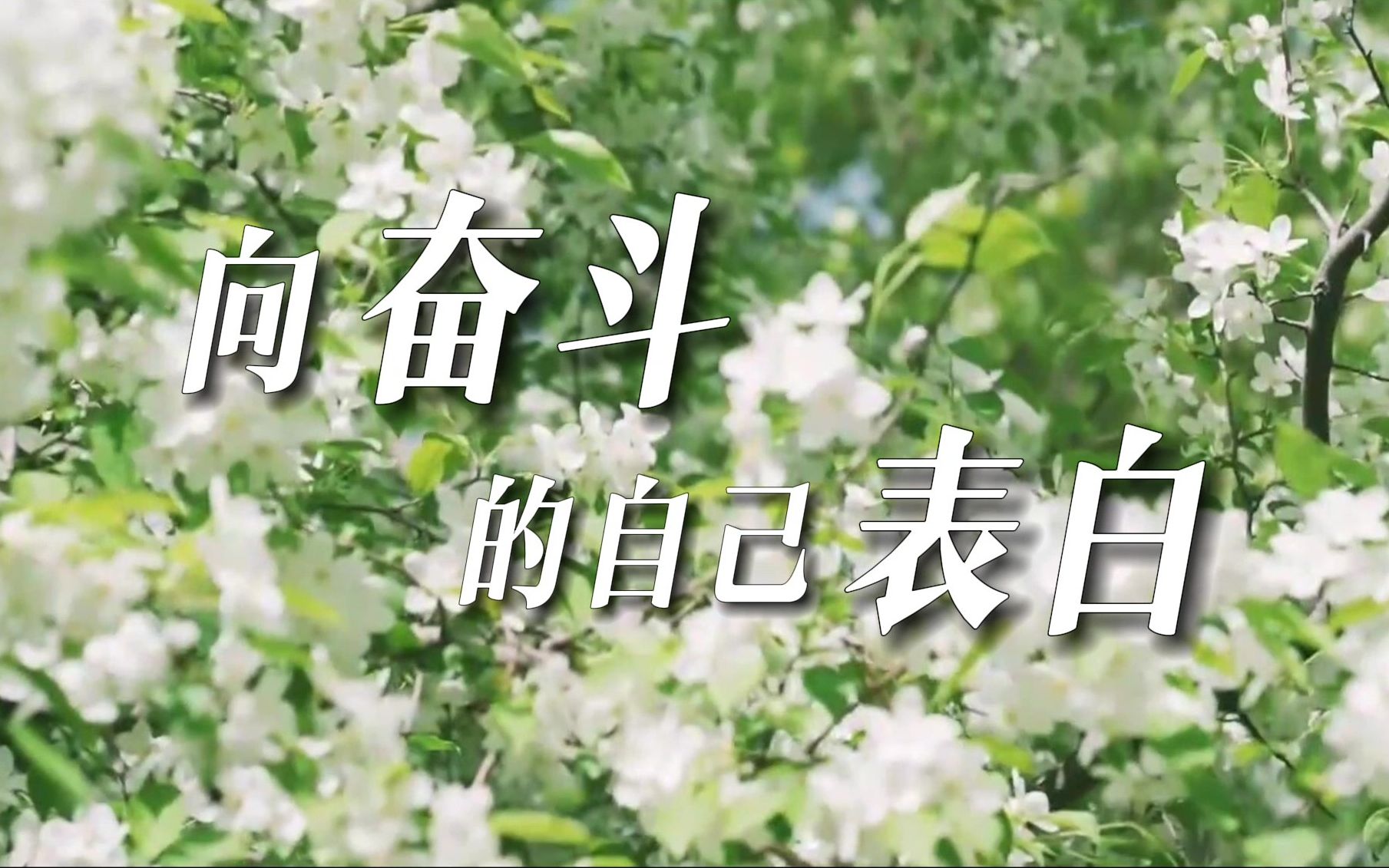 520 向奋斗的自己表白