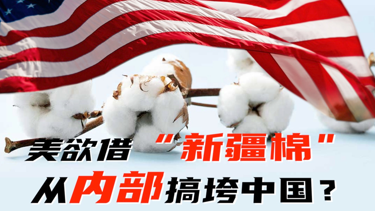 蓄谋已久！美欲借“新疆棉” 从内部搞垮中国？