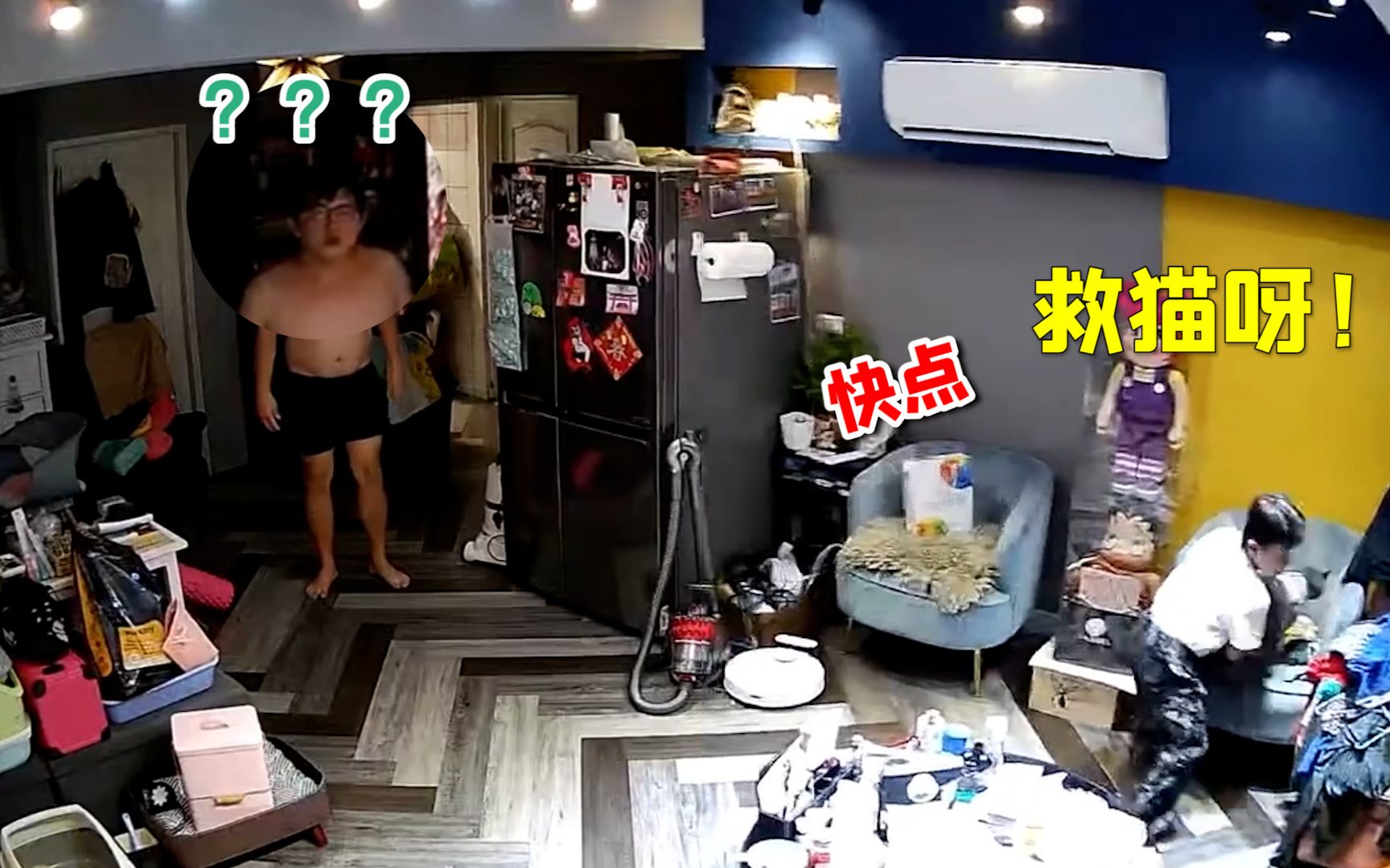 “快点救猫呀！”地震后小朋友第一时间抱猫逃生 爸爸满脸问号