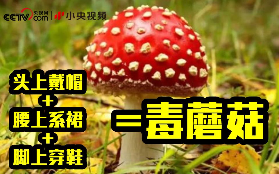 颜色鲜艳的蘑菇都是毒蘑菇吗？