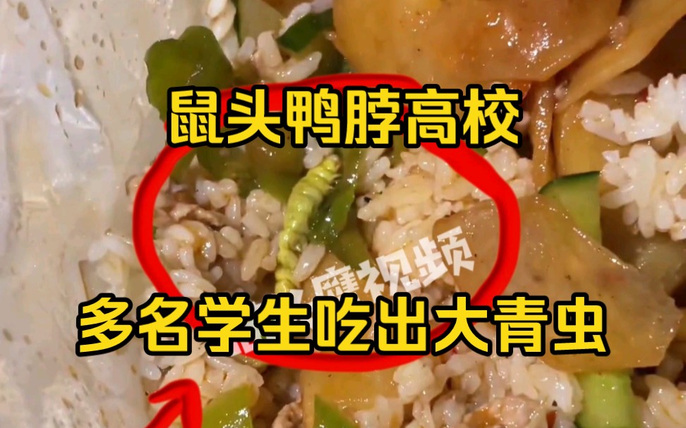 “鼠头鸭脖”高校食堂再被曝光，多名学生吃出大青虫
