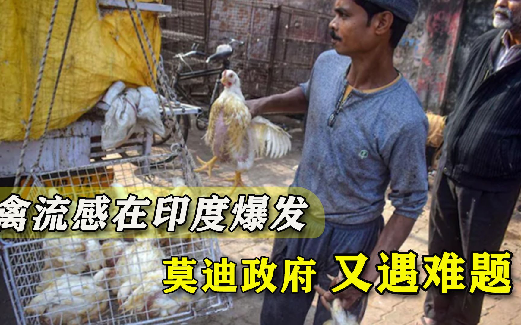 印度疫情还没得到控制，禽流感又恶化了，莫迪面临重大挑战