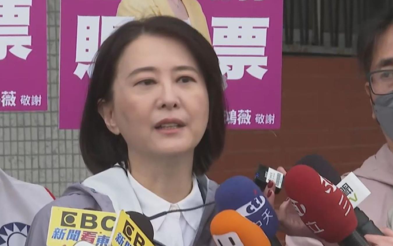王鸿薇列苏贞昌五大罪状：欠债必须还 追查民进党到底