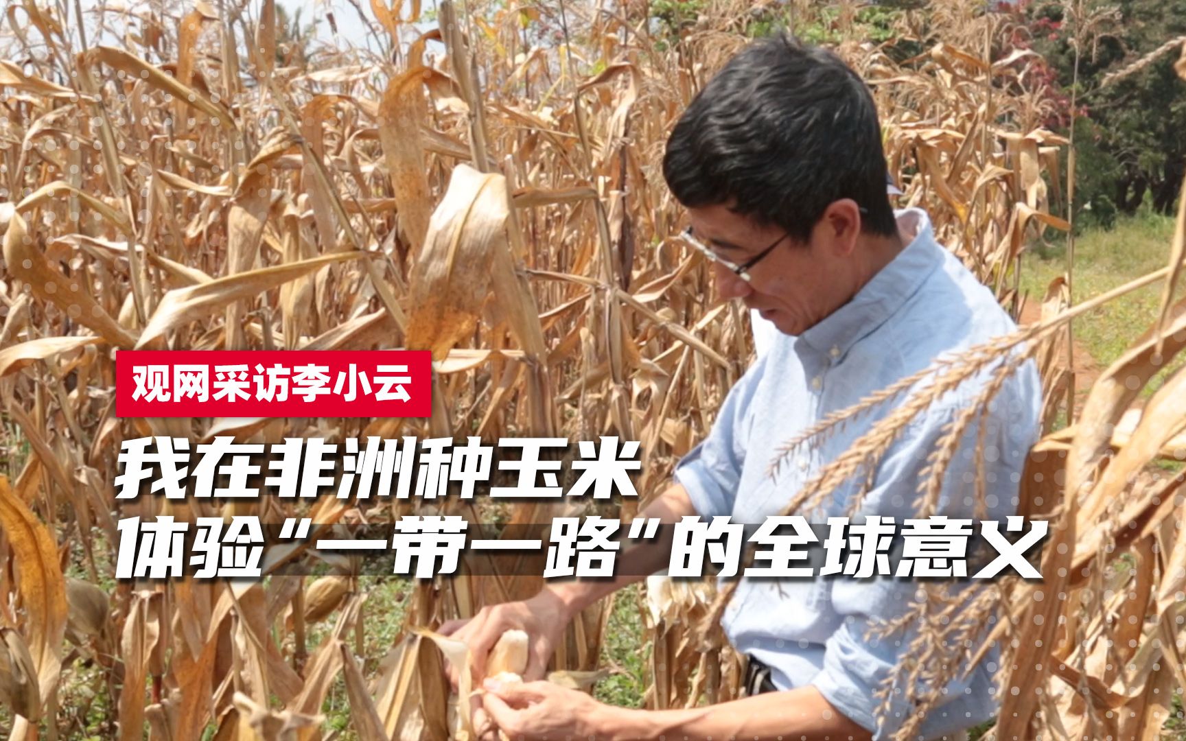 我在非洲种玉米 体验”一带一路“的世界意义