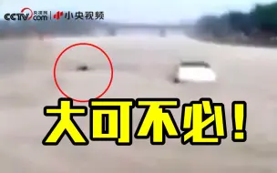 汽车被洪水冲走 印度男子竟跳水去救