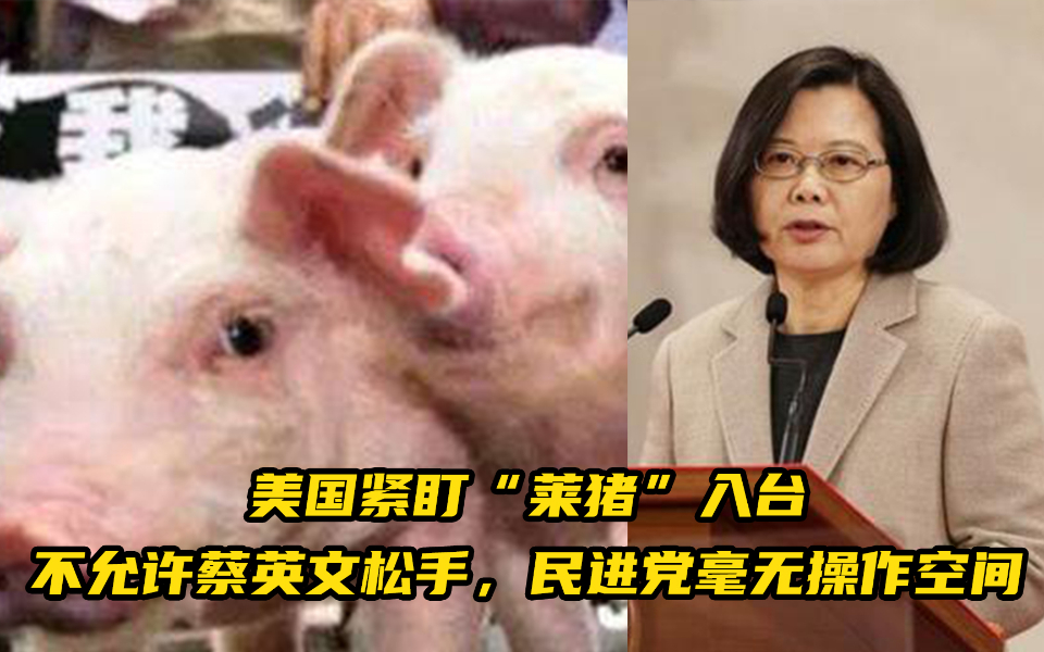 美国紧盯“莱猪”入台，不允许蔡英文松手，民进党毫无操作空间