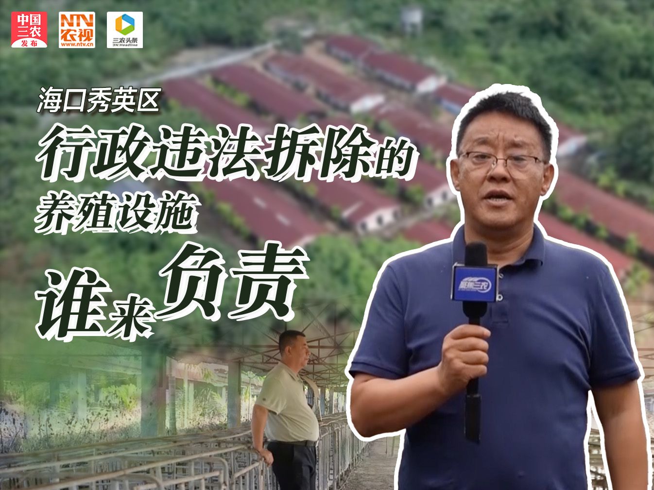 聚焦三农丨海口秀英区：行政违法拆除的养殖设施谁来负责？