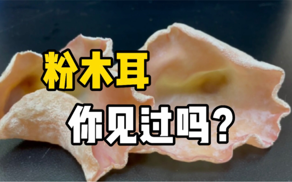 看稀奇！国内首个粉色木耳菌株在四川育出。专家建议：烫火锅更好吃