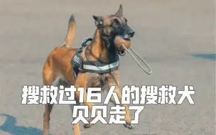 致敬无言的战士！