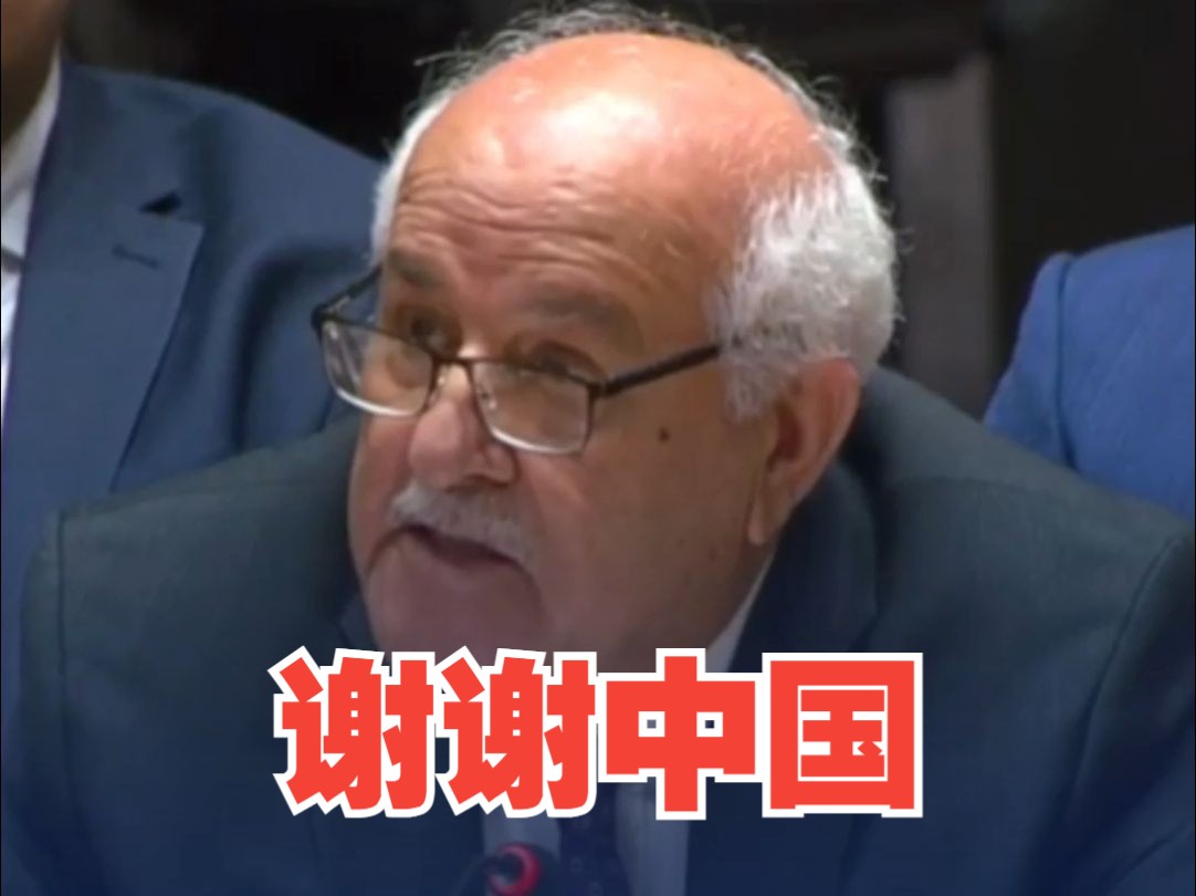 #巴勒斯坦观察员在安理会感谢中国