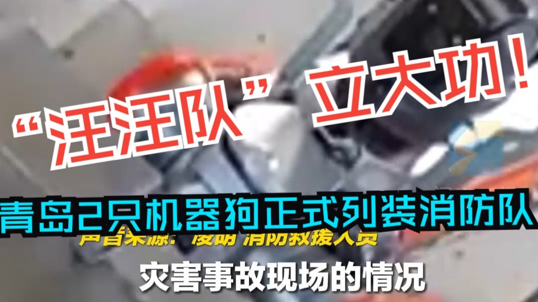 “汪汪队”立大功！青岛2只机器狗正式列装消防队 能承受-20℃至55℃的温差考验