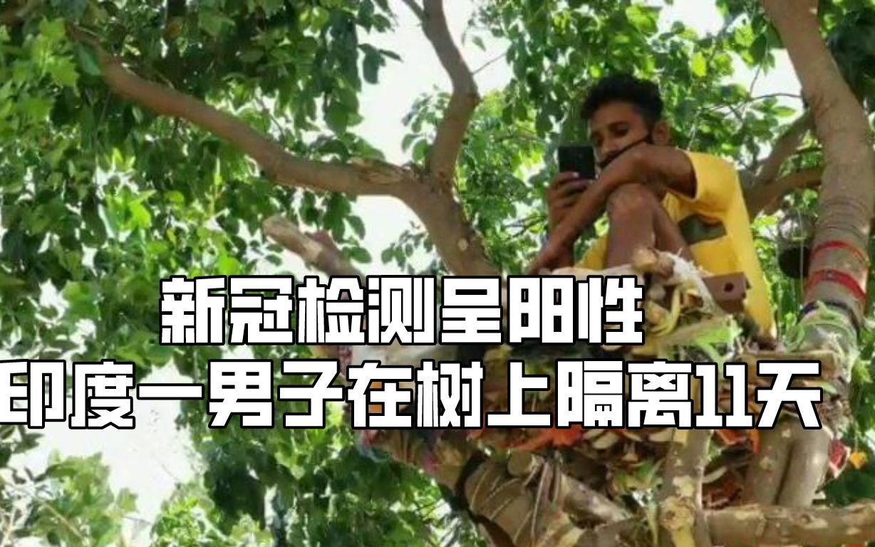 新冠检测呈阳性 印度一男子在树上隔离11天