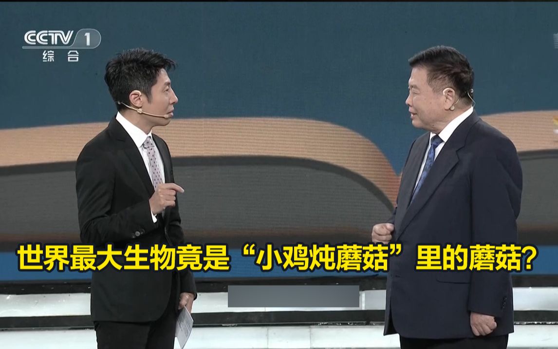 世界最大生物竟是“小鸡炖蘑菇”里的蘑菇？小撒：太颠覆了
