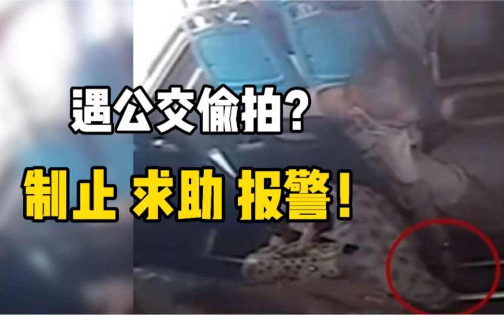 女子在公交上被男子偷拍裙底，教科书式处理擒获色狼