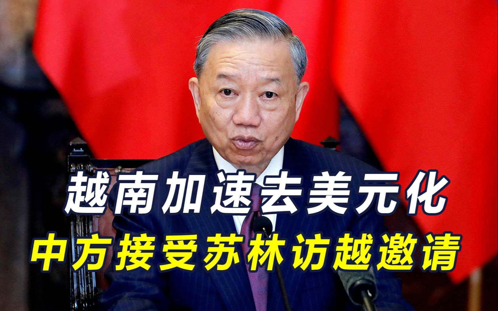 苏林不虚此行，中越合作有三大亮点，越南要用人民币，掘美元坟墓