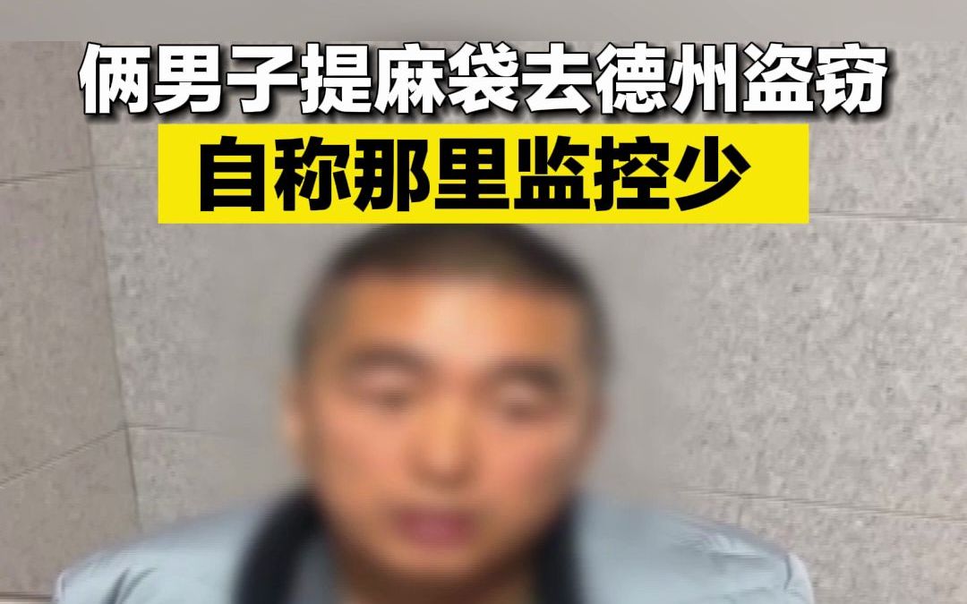 俩男子提麻袋去德州盗窃 自称那里监控少 结果被抓