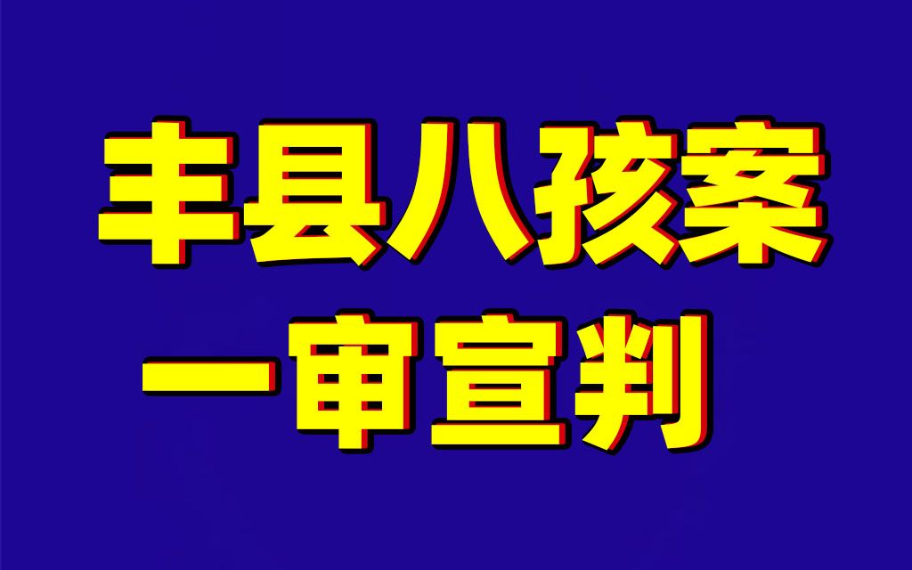 “丰县生育八孩女子”事件相关案件一审宣判：董志民获刑九年