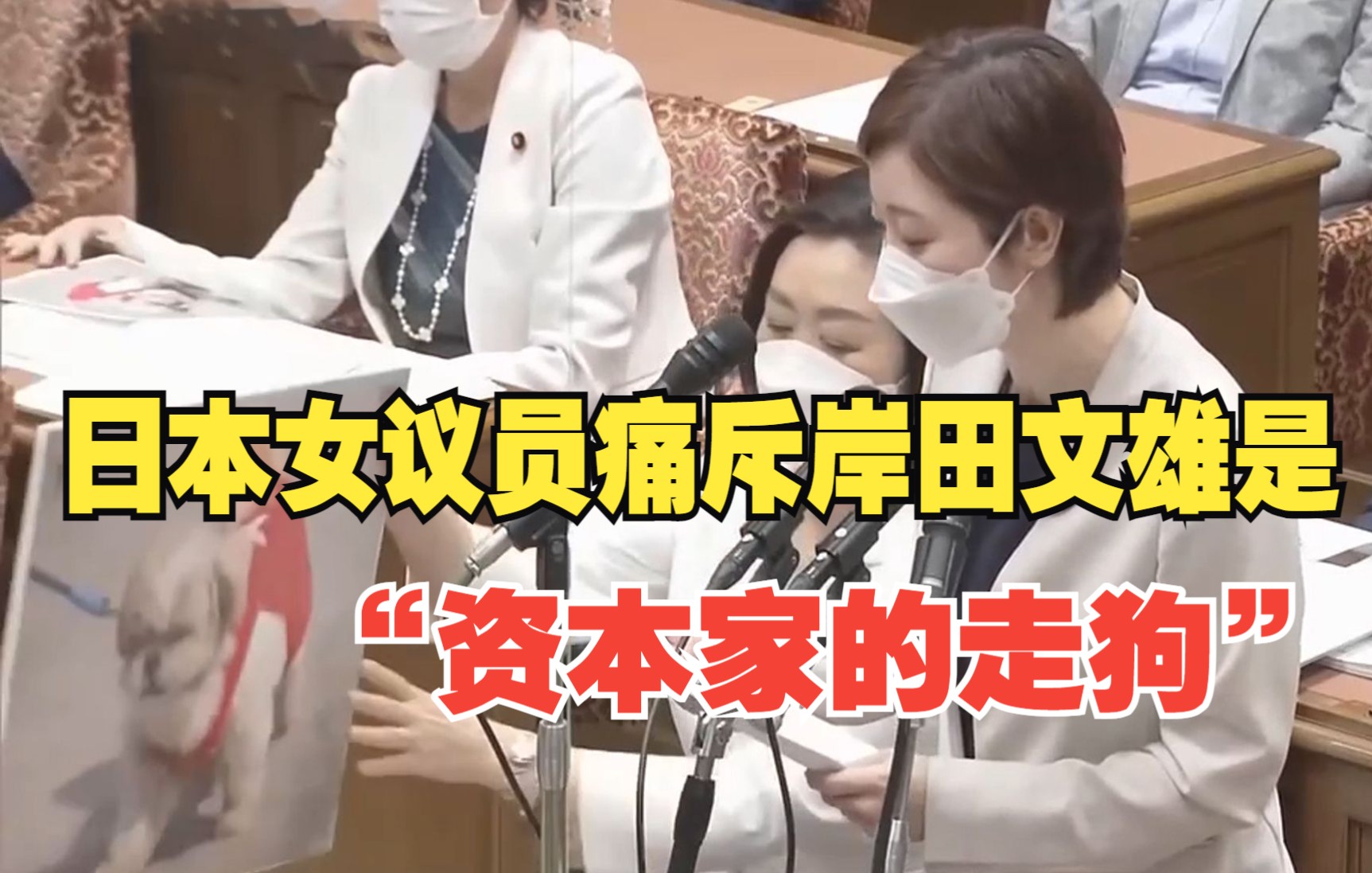 日本女议员痛斥：岸田文雄是资本家的走狗