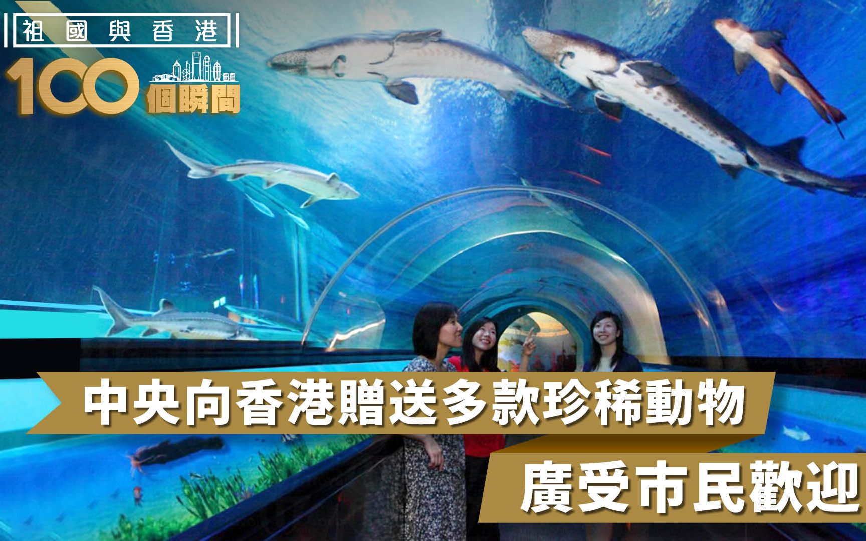 祖国与香港100个瞬间 | 中央向香港赠送多款珍稀动物，广受市民欢迎
