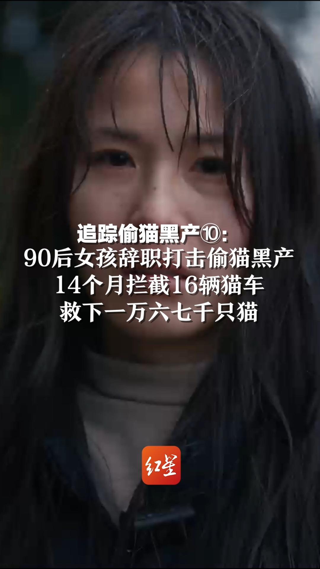 追踪偷猫黑产⑩ 90后女孩辞职打击偷猫黑产，14个月拦截16辆猫车，救下一万六七千只猫