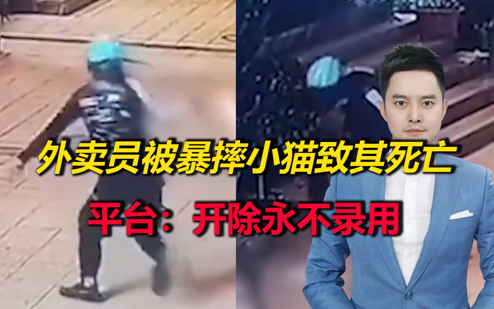 珠海一外卖员被暴摔打踩踏小猫致其死亡，平台：开除永不录用
