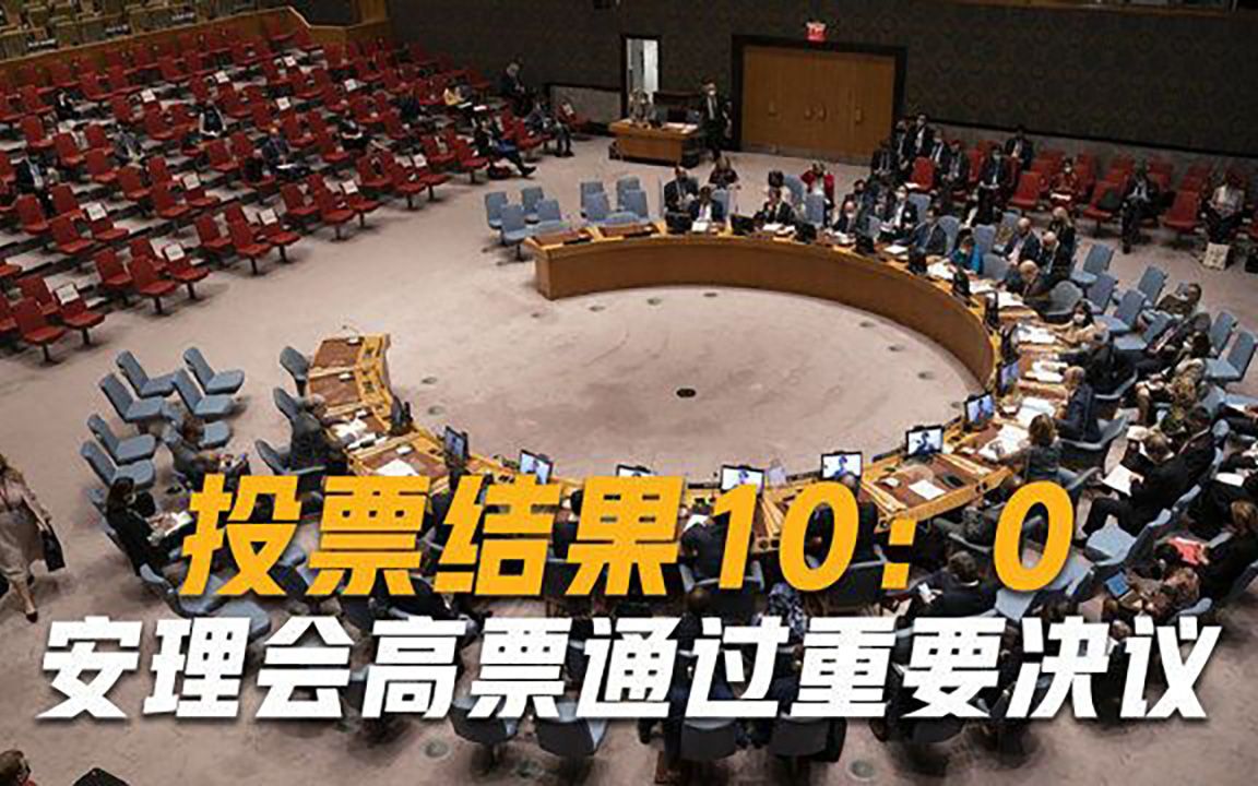 美英法等10国投下赞成票，安理会通过武器禁运议案，中俄罕见弃权
