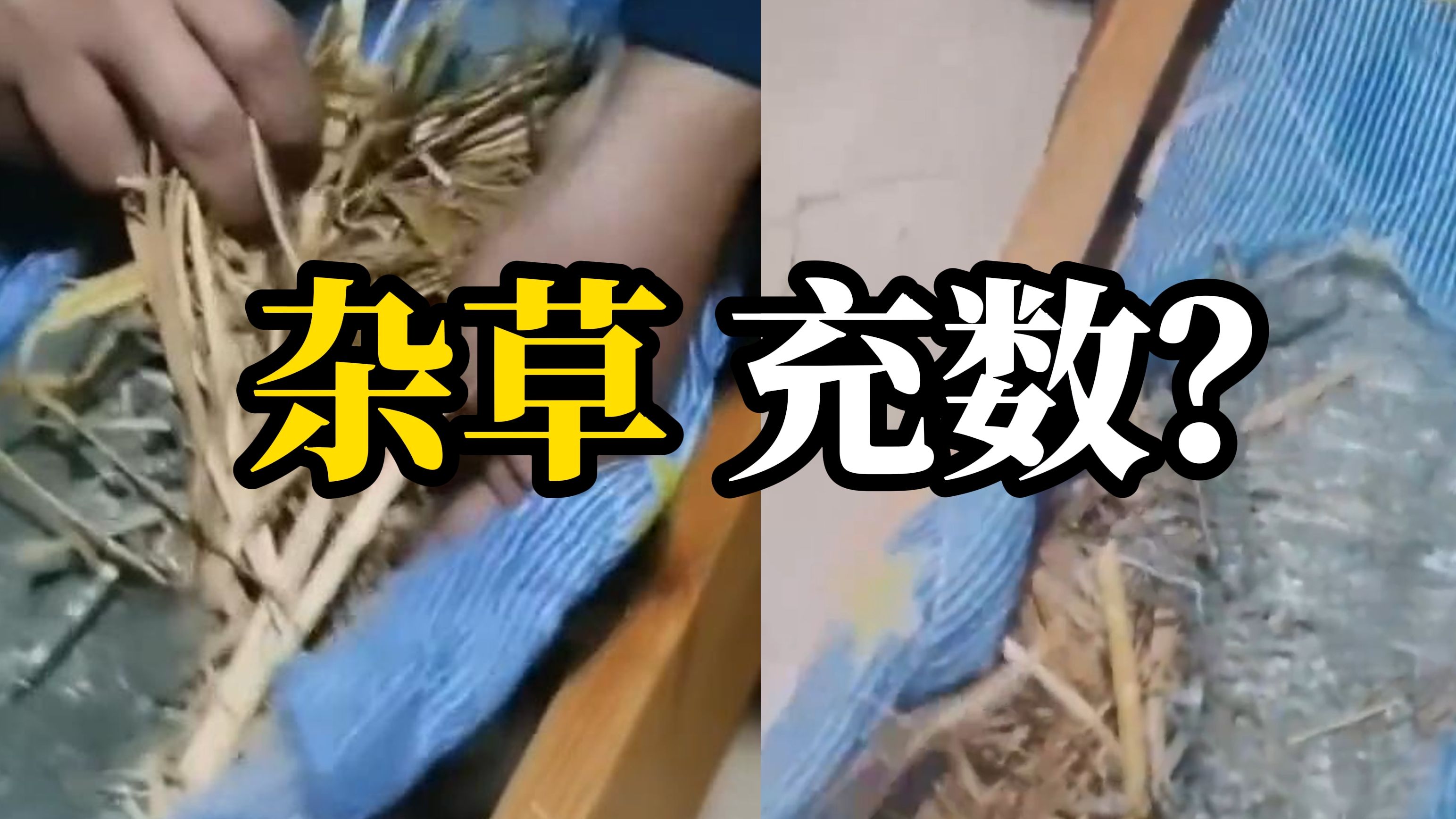 网曝天津某中学学生床垫用杂草填充，家长称“咱花了3000多买了个这”