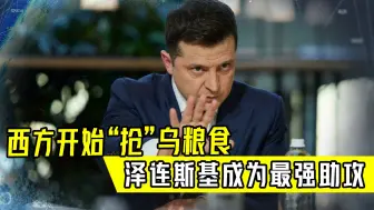 西方开始“抢”乌粮食，泽连斯基成为最强助攻，自己人也不放过