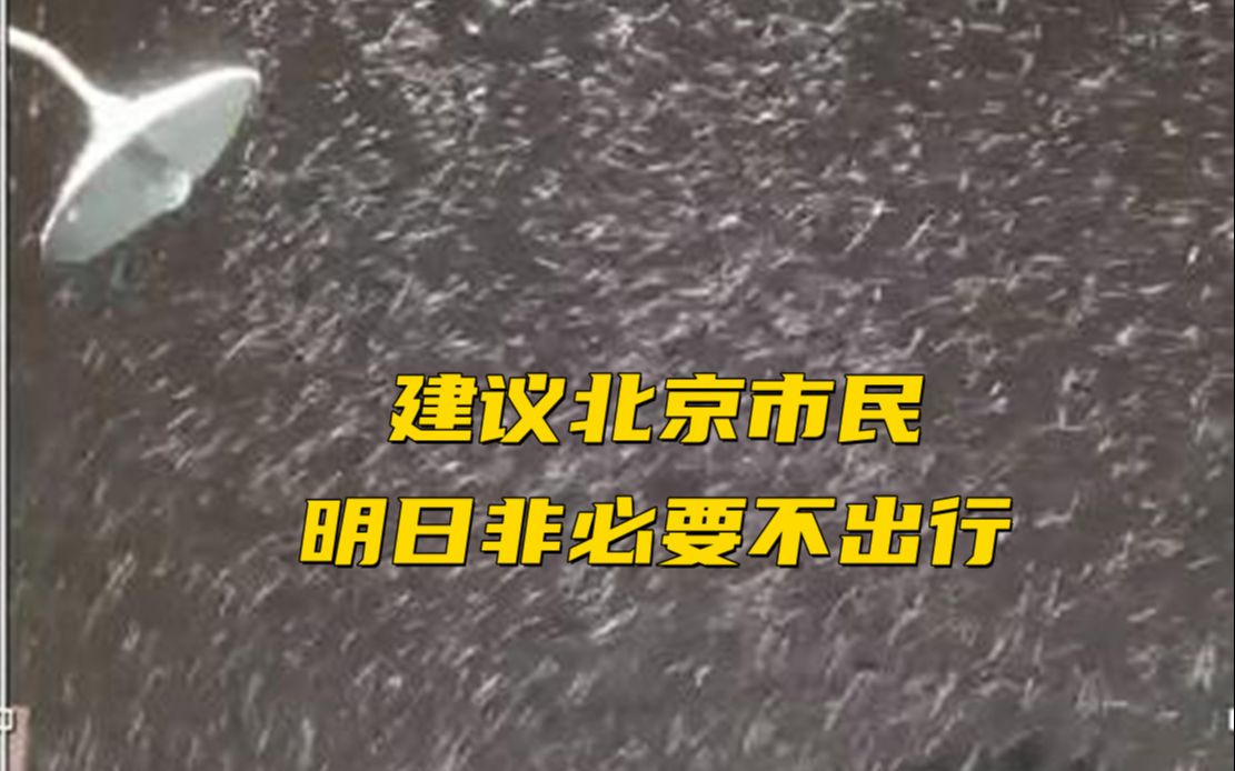 建议北京市民明日非必要不出行 明天你会出门不？