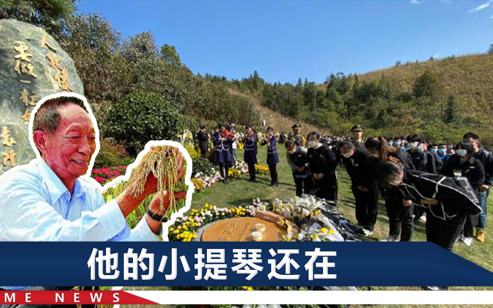 重温袁隆平院士的“90后”人生：做梦都是水稻，想让所有人吃饱饭