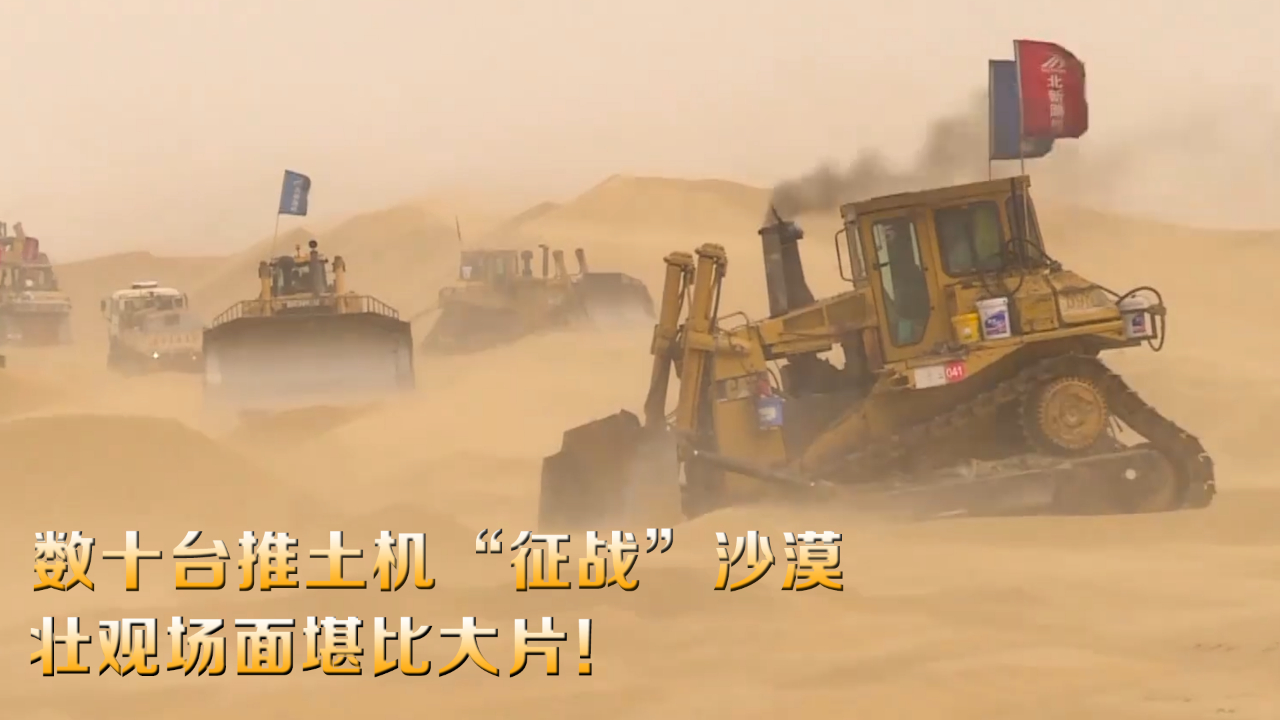 数十台推土机“征战”沙漠 壮观场面堪比大片！