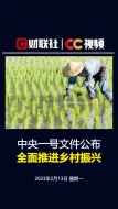 中央一号文件公布 全面推进乡村振兴