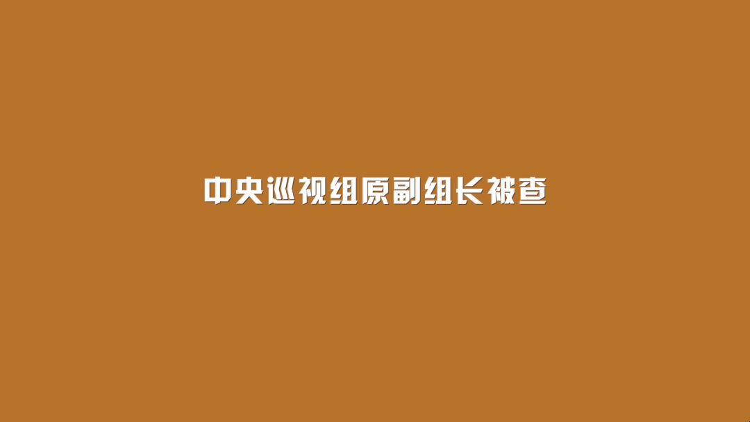 中央巡视组原副组长被查