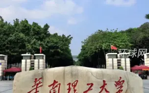 华南理工大学回应“苏某及顾姓老师相关话题”：已组织调查小组核查
