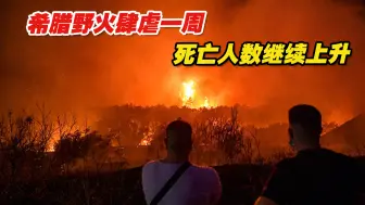 希腊野火肆虐一周，死亡人数继续上升