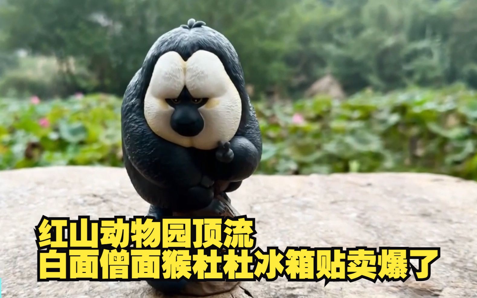 南京红山森林动物园火爆出圈