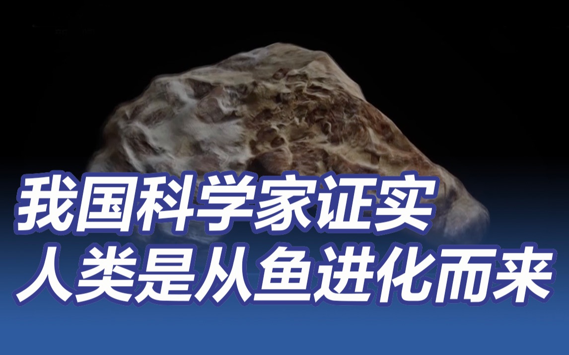 我国科学家证实人类是从鱼进化而来 人类口鼻眼都可追溯到鱼类身上去