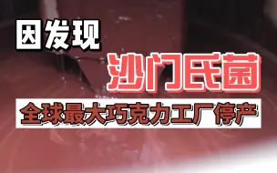 因发现沙门氏菌 全球最大巧克力工厂暂停生产