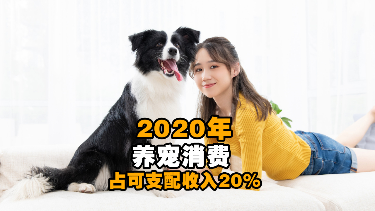 2020年养宠消费占可支配收入20% 你家有“毛孩子”吗？