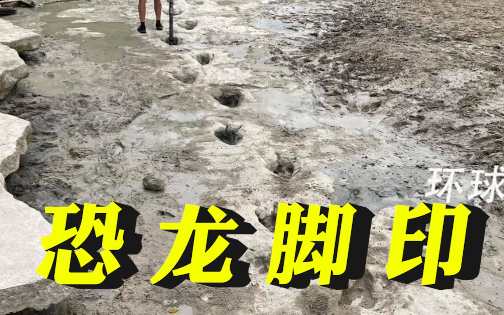 美国河流干旱露出1亿年前恐龙脚印