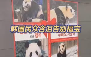 不舍！韩国民众雪中排队4小时告别福宝