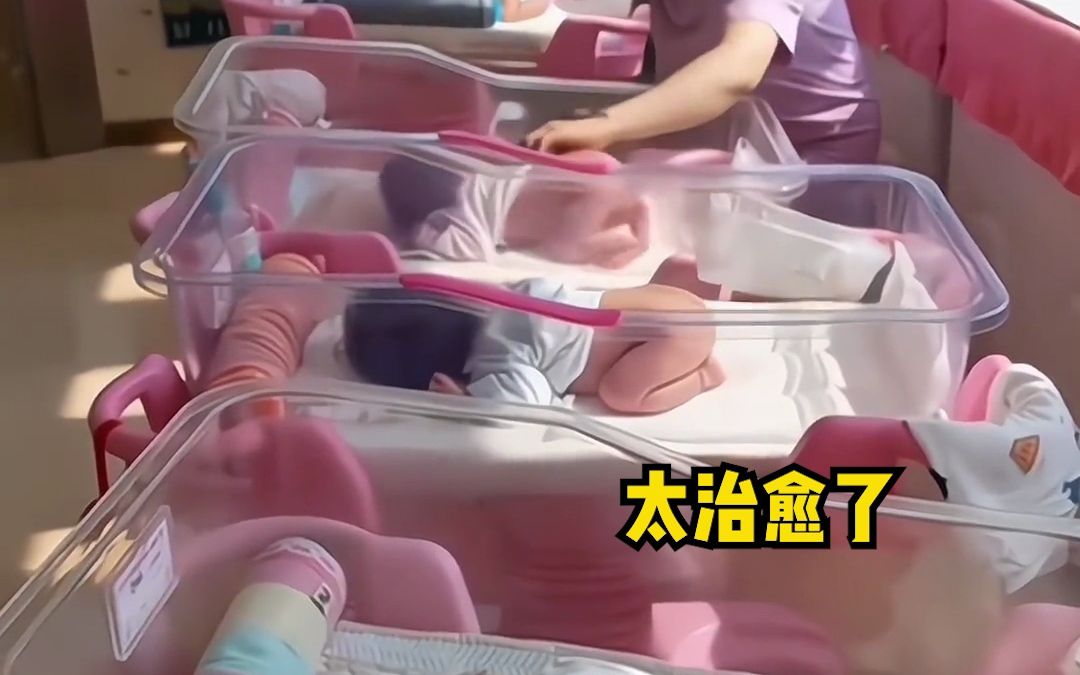新生儿们集体撅着小屁股晒太阳，“窗台上的三个是开通了VIP嘛”。