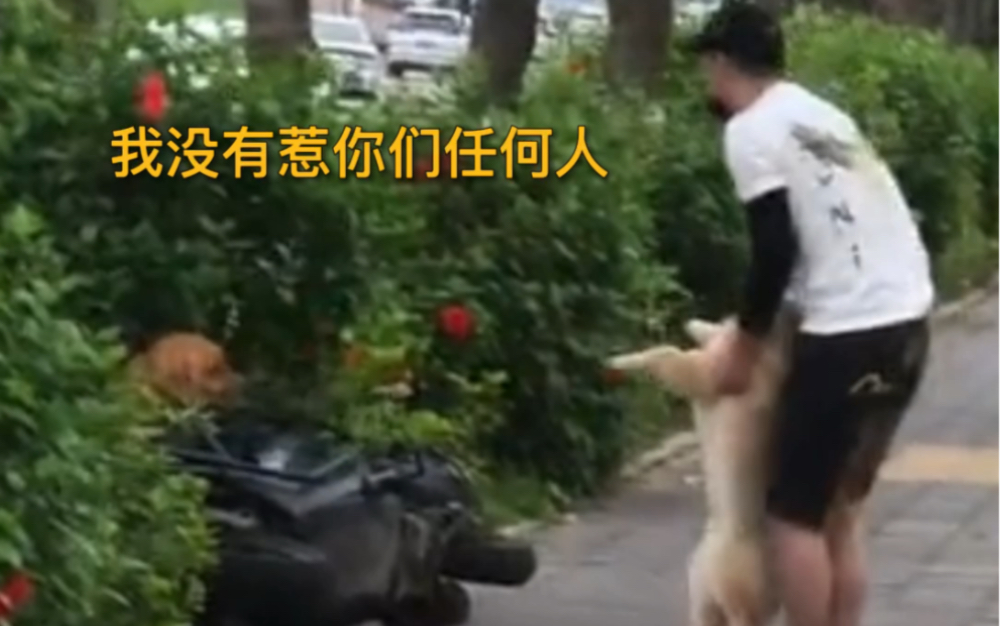 看到这个才知道什么叫“捡了芝麻丢了西瓜”😂