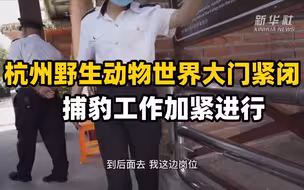 记者观察：杭州野生动物世界大门紧闭，捕豹工作加紧进行
