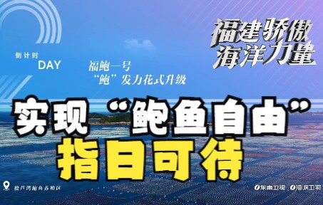 【福建骄傲 海洋力量】实现“鲍鱼自由”日子 不远了