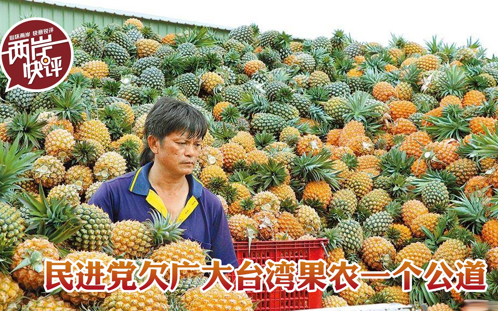 遇事就“甩锅”大陆？民进党，你们欠广大台湾果农一个公道